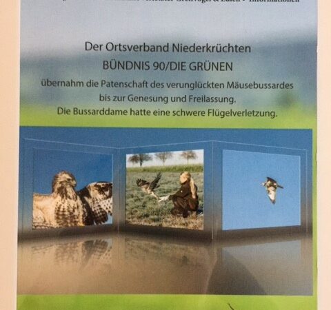 urkunde_bussard